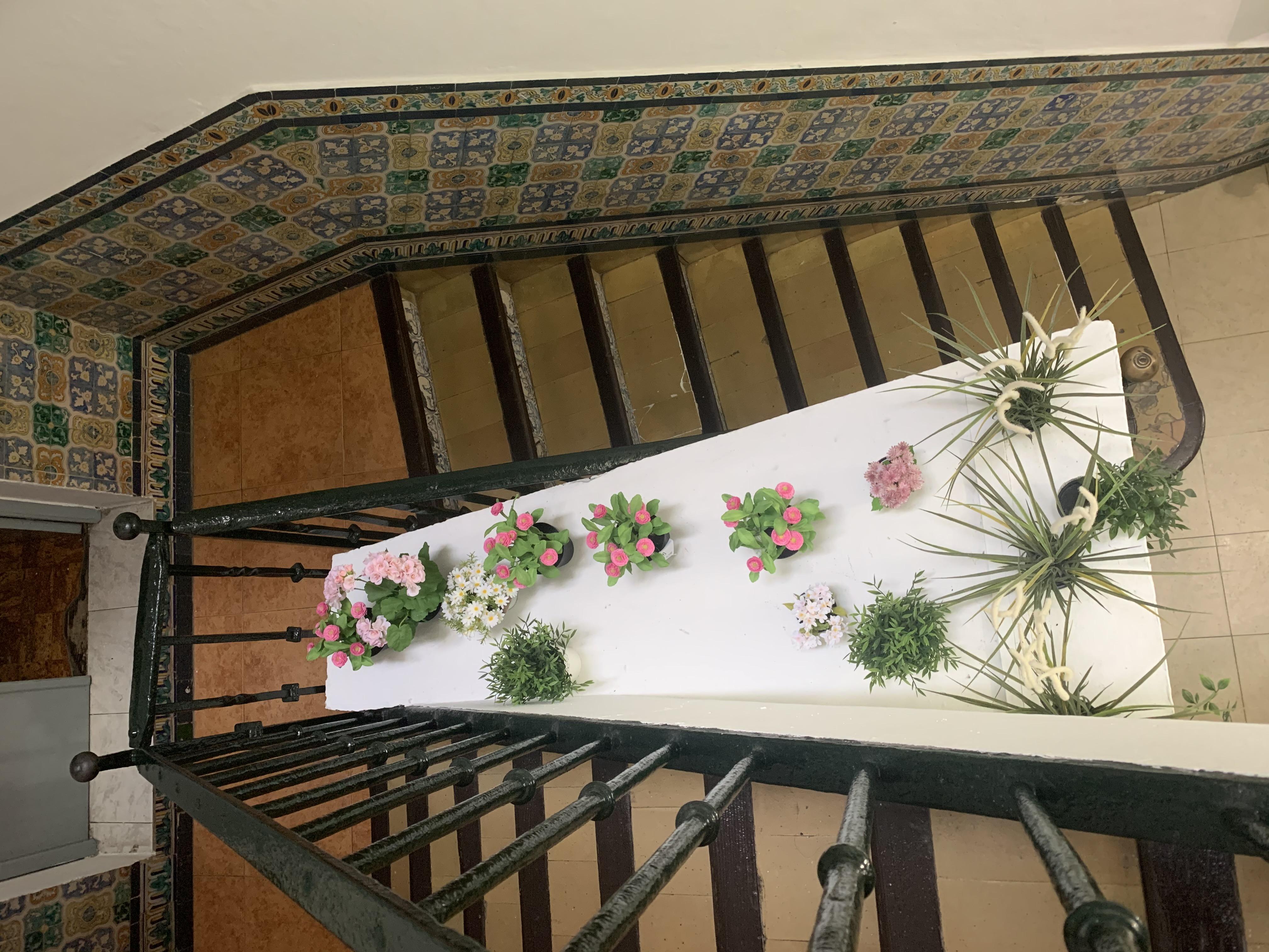 Hostal Alcobia Sevilla Bagian luar foto