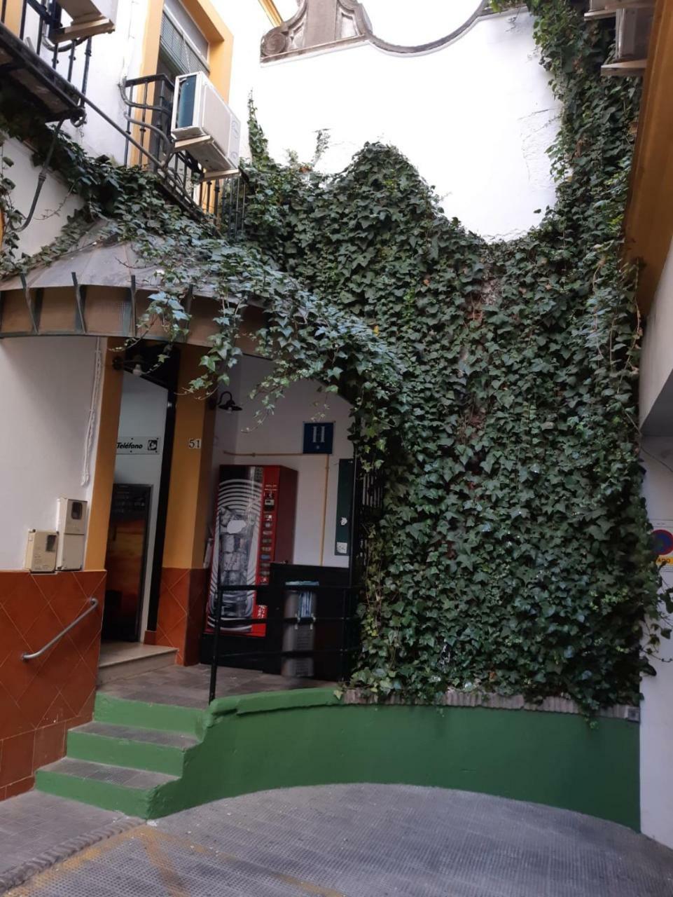 Hostal Alcobia Sevilla Bagian luar foto